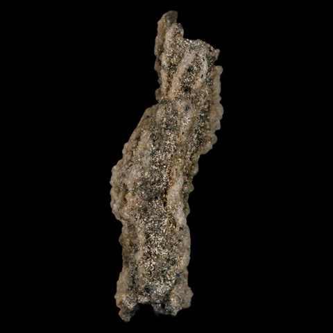1.7" Fulgurite Petrified Lightning Strike Glass Sahara Desert Algeria - Fossil Age Minerals