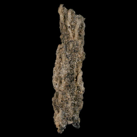 1.7" Fulgurite Petrified Lightning Strike Glass Sahara Desert Algeria - Fossil Age Minerals