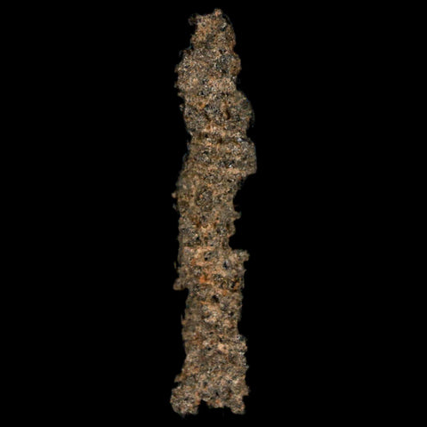 1.7" Fulgurite Petrified Lightning Strike Glass Sahara Desert Algeria - Fossil Age Minerals