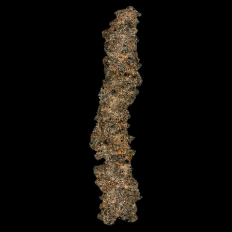 1.7" Fulgurite Petrified Lightning Strike Glass Sahara Desert Algeria - Fossil Age Minerals