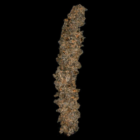1.7" Fulgurite Petrified Lightning Strike Glass Sahara Desert Algeria