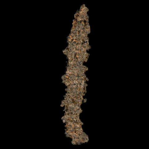 1.7" Fulgurite Petrified Lightning Strike Glass Sahara Desert Algeria - Fossil Age Minerals