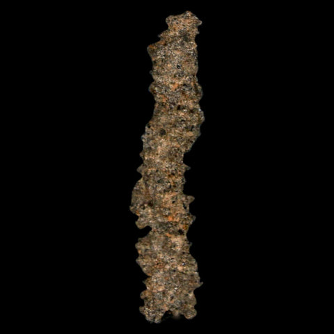 1.7" Fulgurite Petrified Lightning Strike Glass Sahara Desert Algeria - Fossil Age Minerals