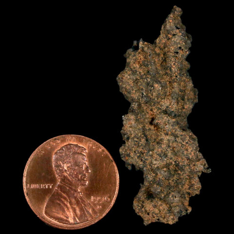 1.7" Fulgurite Petrified Lightning Strike Glass Sahara Desert Algeria - Fossil Age Minerals