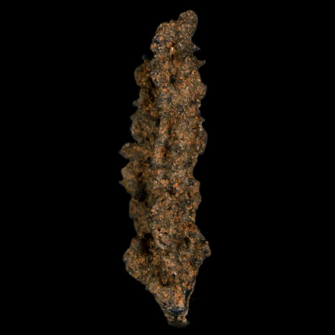 1.7" Fulgurite Petrified Lightning Strike Glass Sahara Desert Algeria - Fossil Age Minerals