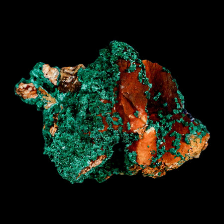 3.8" Dark Green Malachite Crystal Mineral Specimen On Rock Tiznit Province Morocco