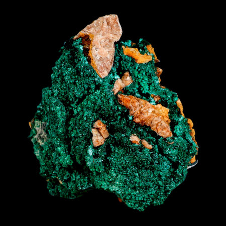 3.5" Dark Green Malachite Crystal Mineral Specimen On Rock Tiznit Province Morocco