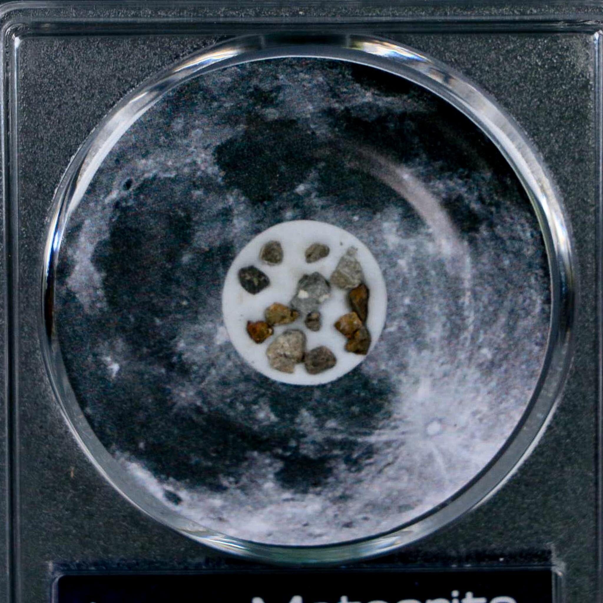 Moon Rock Lunar Meteorite Fragments Various Classifications Outer Space COA - Fossil Age Minerals