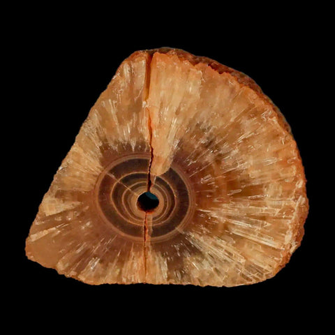 2.1" Natural Cut Rough Cave Honey Calcite Crystal Mineral Specimen Morocco - Fossil Age Minerals