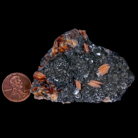 2.2" Sparkly Orange Barite Blades, Cerussite Crystals, Galena Crystal Mineral Morocco - Fossil Age Minerals