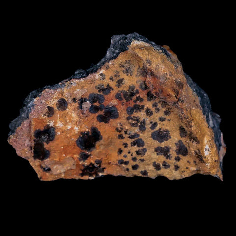 2.2" Sparkly Orange Barite Blades, Cerussite Crystals, Galena Crystal Mineral Morocco - Fossil Age Minerals