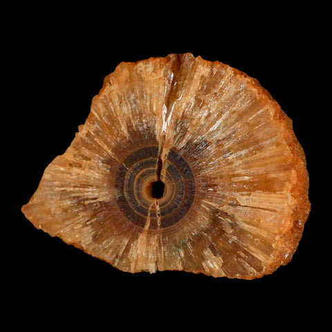 2.9" Natural Cut Rough Cave Honey Calcite Crystal Mineral Specimen Morocco - Fossil Age Minerals