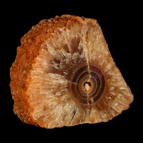 2.9" Natural Cut Rough Cave Honey Calcite Crystal Mineral Specimen Morocco - Fossil Age Minerals