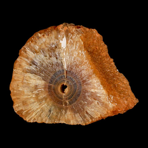 2.9" Natural Cut Rough Cave Honey Calcite Crystal Mineral Specimen Morocco - Fossil Age Minerals