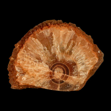 2.4" Natural Cut Rough Cave Honey Calcite Crystal Mineral Specimen Morocco