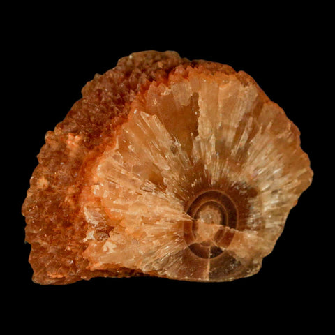 2.4" Natural Cut Rough Cave Honey Calcite Crystal Mineral Specimen Morocco - Fossil Age Minerals