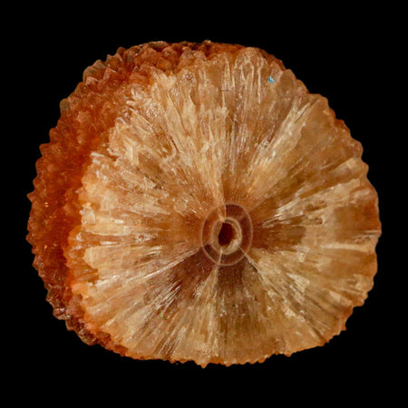 2" Natural Cut Rough Cave Honey Calcite Crystal Mineral Specimen Morocco