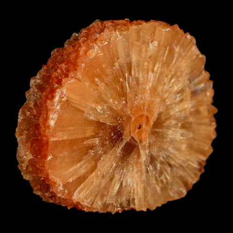 2" Natural Cut Rough Cave Honey Calcite Crystal Mineral Specimen Morocco - Fossil Age Minerals