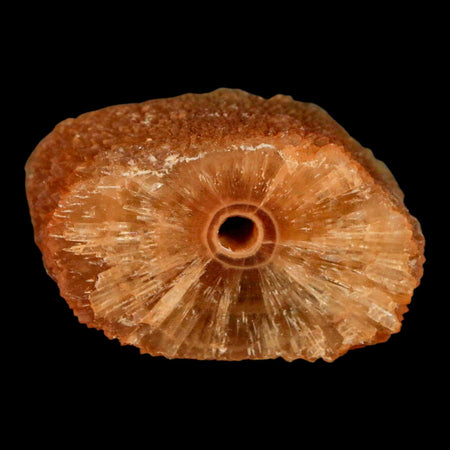 1.9" Natural Cut Rough Cave Honey Calcite Crystal Mineral Specimen Morocco