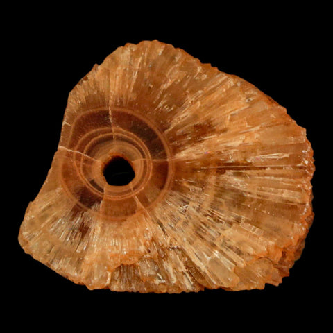 1.5" Natural Cut Rough Cave Honey Calcite Crystal Mineral Specimen Morocco - Fossil Age Minerals