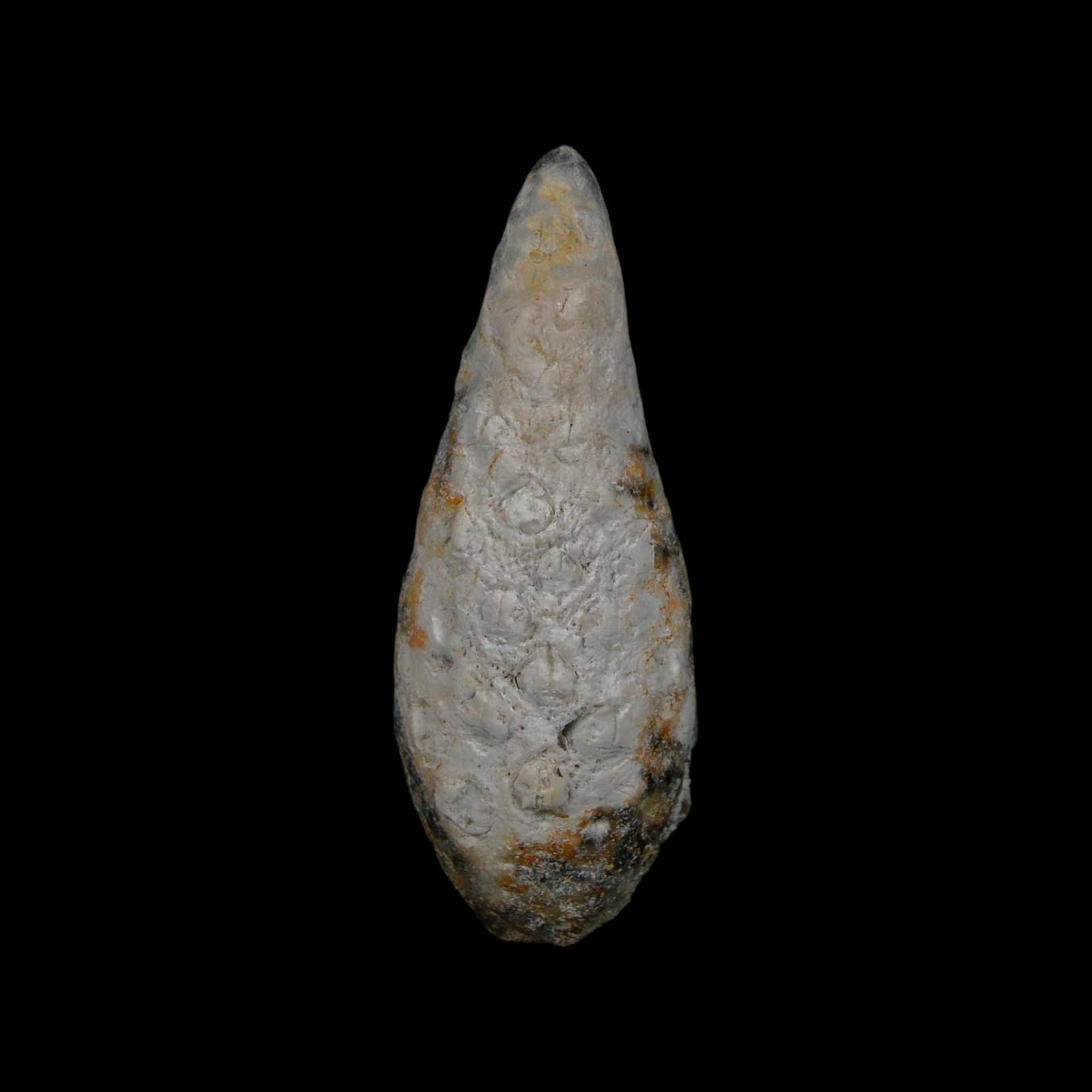 XL 2.1" Fossil Pine Cone Equicalastrobus Replaced By Agate Eocene Age Seeds Fruit - Fossil Age Minerals