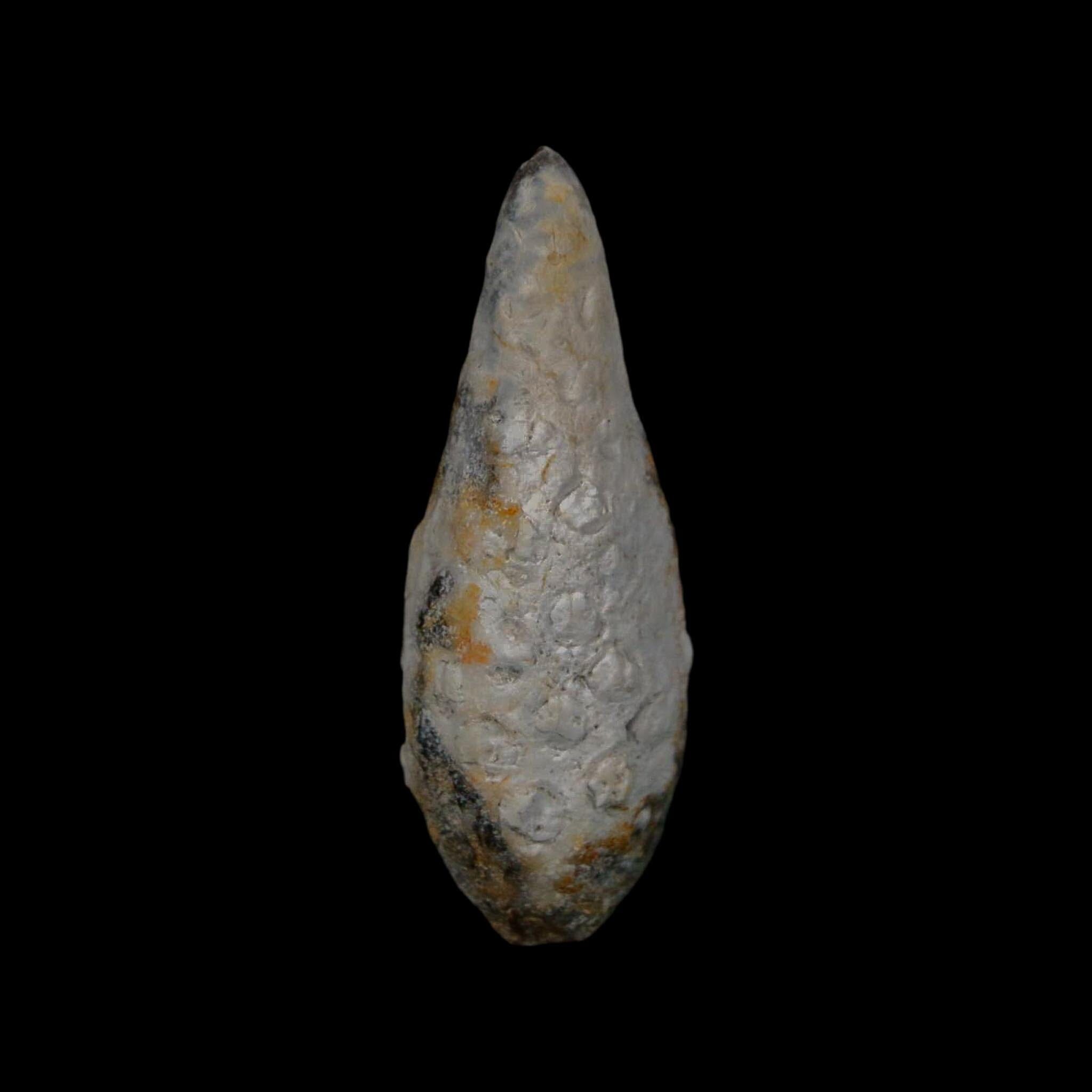 XL 2.1" Fossil Pine Cone Equicalastrobus Replaced By Agate Eocene Age Seeds Fruit - Fossil Age Minerals