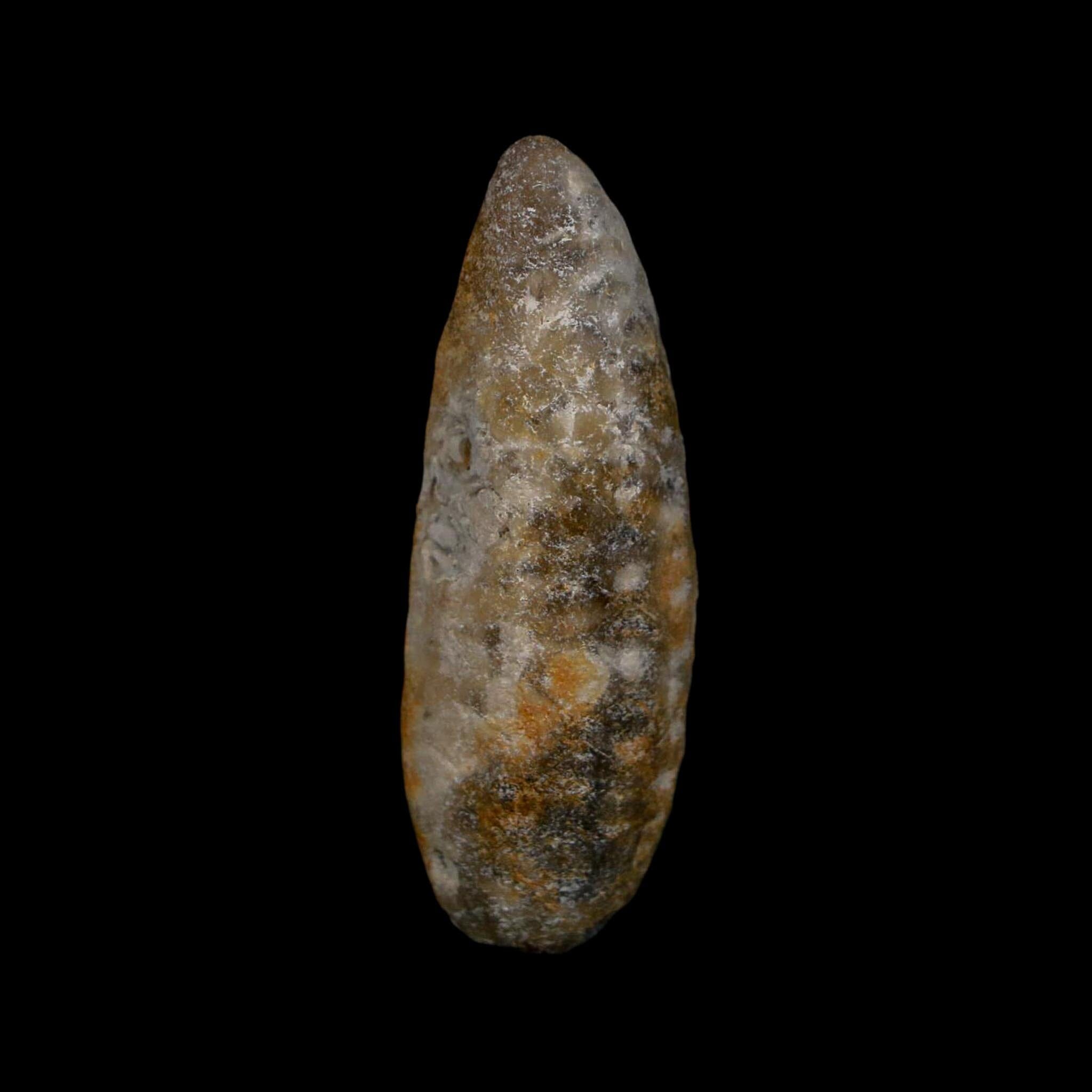 XL 2.3" Fossil Pine Cone Equicalastrobus Replaced By Agate Eocene Age Seeds Fruit - Fossil Age Minerals