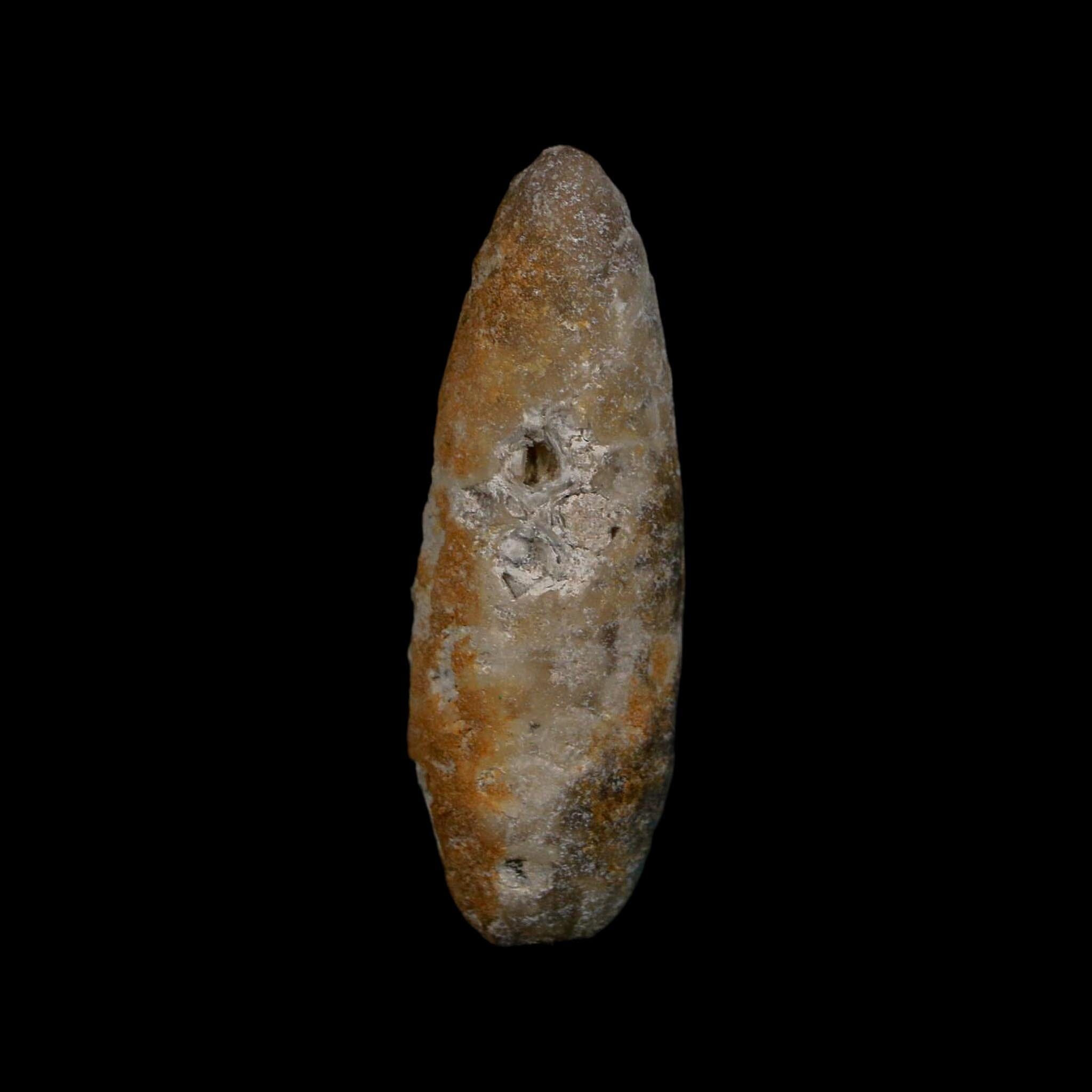 XL 2.3" Fossil Pine Cone Equicalastrobus Replaced By Agate Eocene Age Seeds Fruit - Fossil Age Minerals