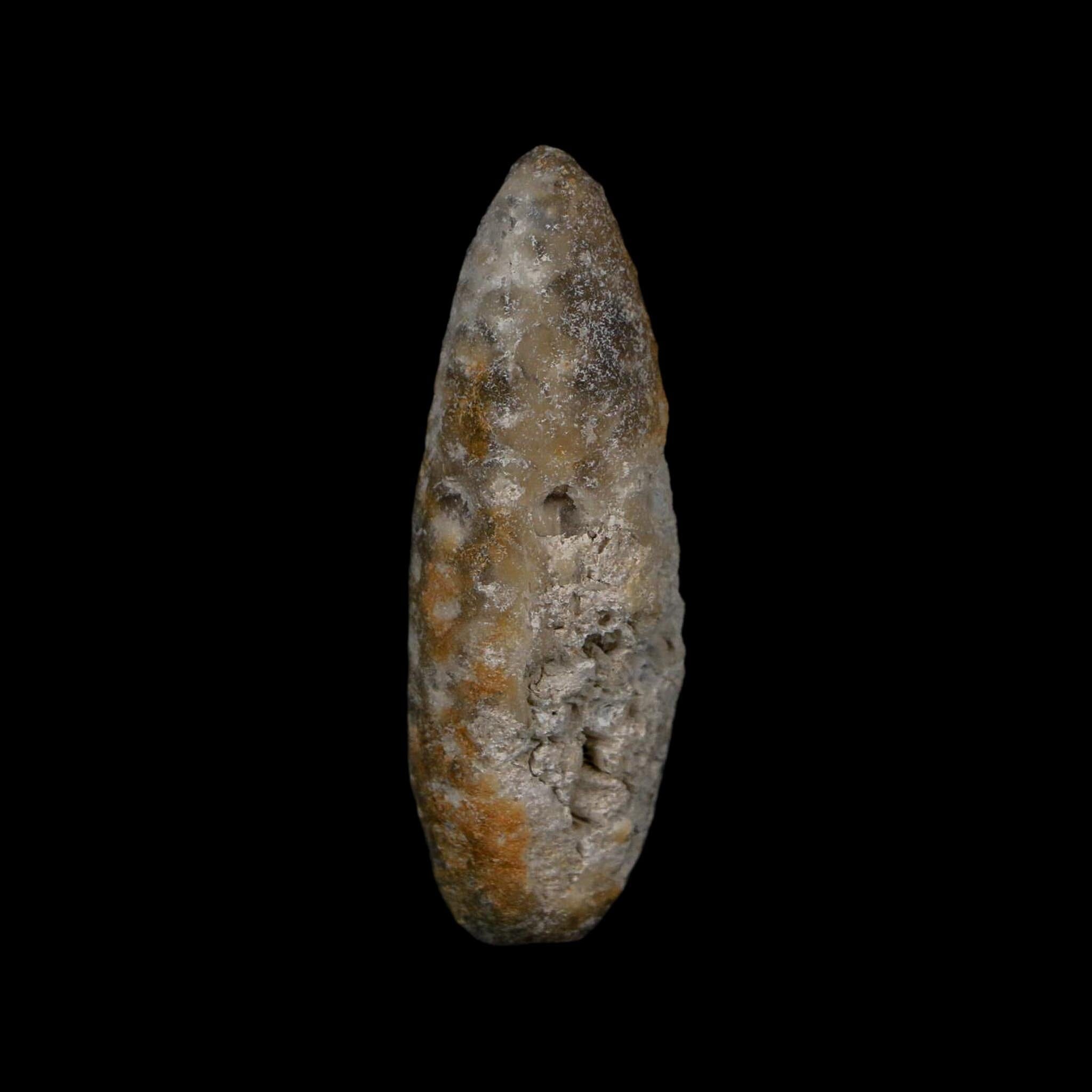 XL 2.3" Fossil Pine Cone Equicalastrobus Replaced By Agate Eocene Age Seeds Fruit - Fossil Age Minerals
