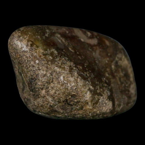 2.4" Sauropod Dinosaur Stomach Stone Gastrolith Rock Gizzard Stone COA - Fossil Age Minerals