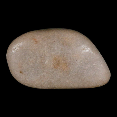 XL 4.3" Sauropod Dinosaur Stomach Stone Gastrolith Rock Gizzard Stone COA - Fossil Age Minerals