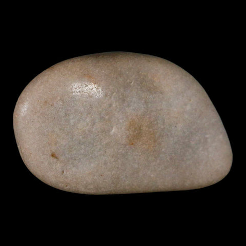 XL 4.3" Sauropod Dinosaur Stomach Stone Gastrolith Rock Gizzard Stone COA - Fossil Age Minerals