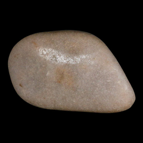 XL 4.3" Sauropod Dinosaur Stomach Stone Gastrolith Rock Gizzard Stone COA - Fossil Age Minerals