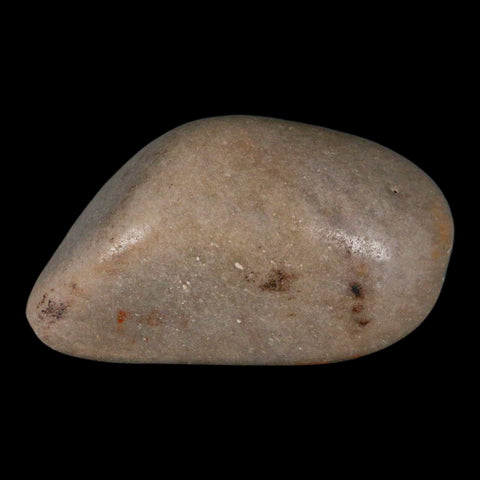 XL 4.3" Sauropod Dinosaur Stomach Stone Gastrolith Rock Gizzard Stone COA - Fossil Age Minerals