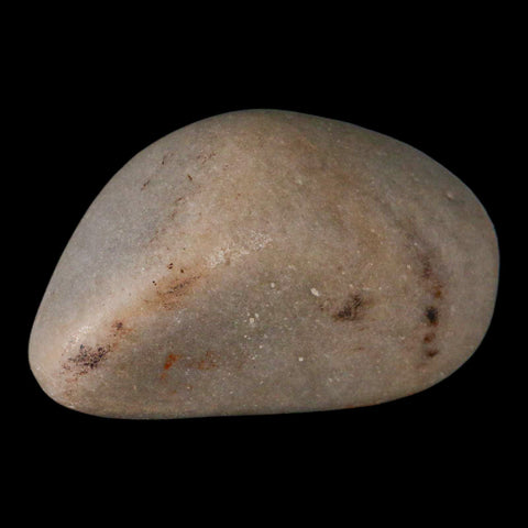 XL 4.3" Sauropod Dinosaur Stomach Stone Gastrolith Rock Gizzard Stone COA - Fossil Age Minerals