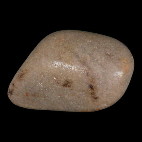 XL 4.3" Sauropod Dinosaur Stomach Stone Gastrolith Rock Gizzard Stone COA - Fossil Age Minerals