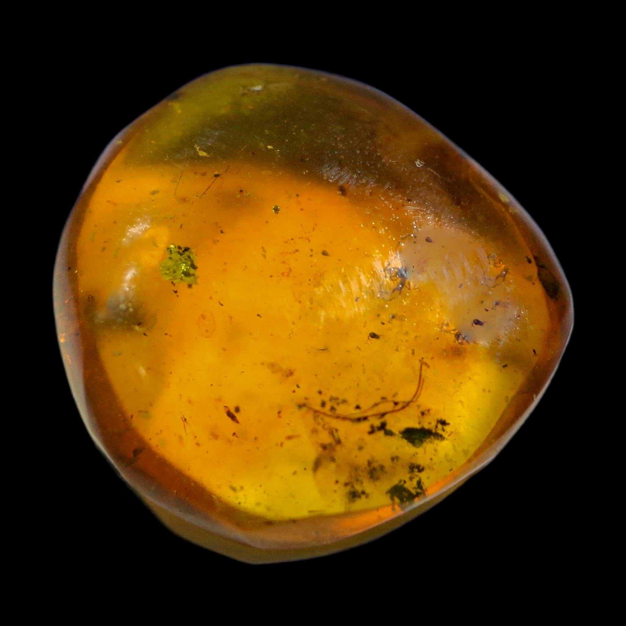 Burmese Insect Amber Arachnida Spider And Tick Fossil Burmite Cretaceous Dinosaur Age