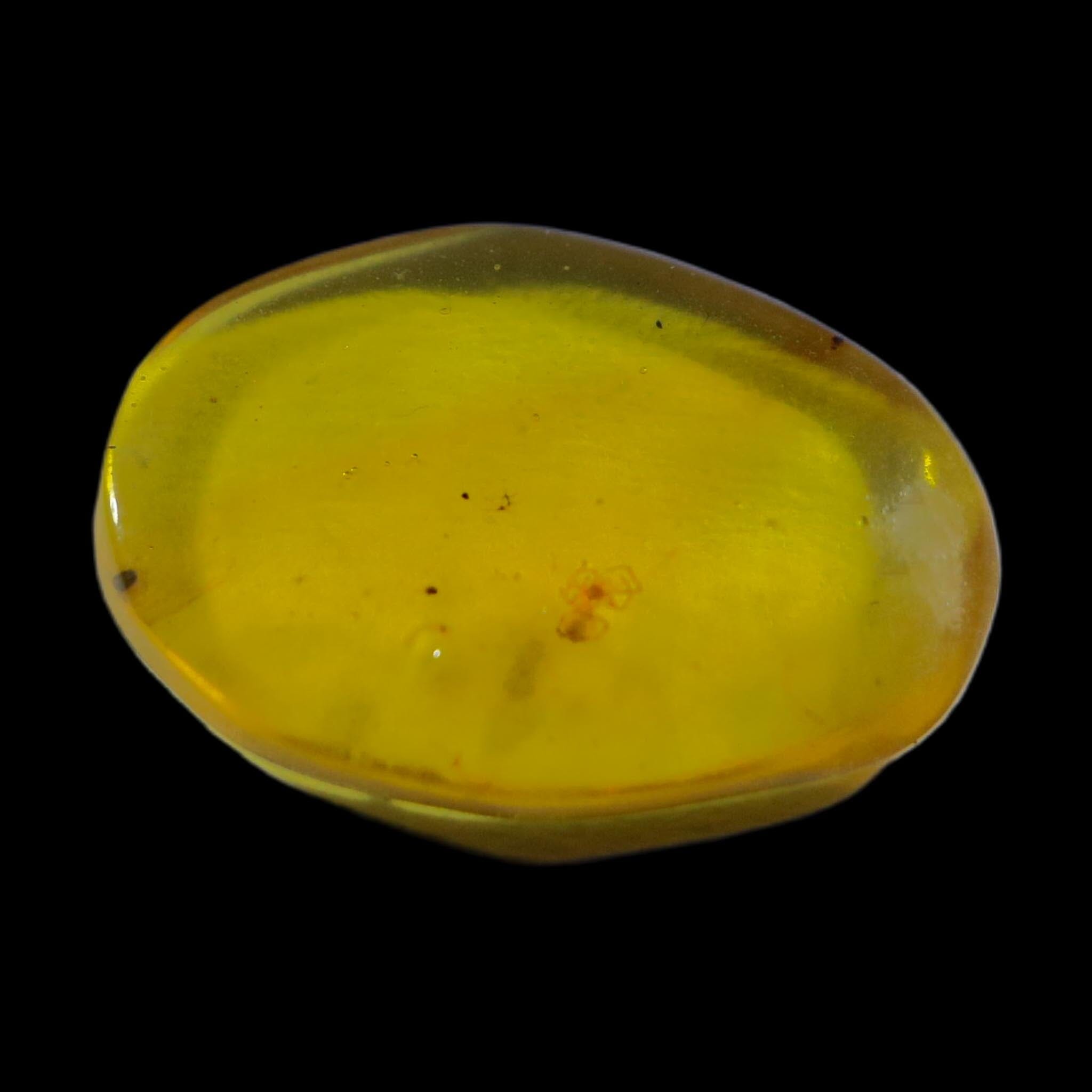 Burmese Insect Amber Arachnida Spider Fossil Burmite Cretaceous Dinosaur Age