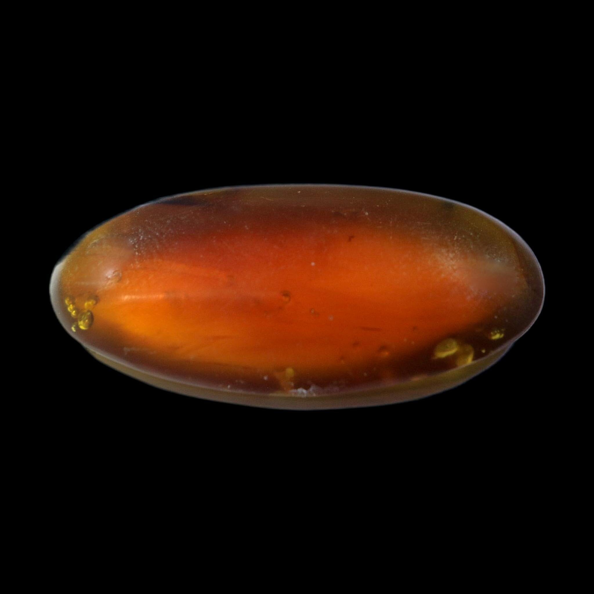 Burmese Insect Amber Arachnida Spider Fossil Burmite Cretaceous Dinosaur Age