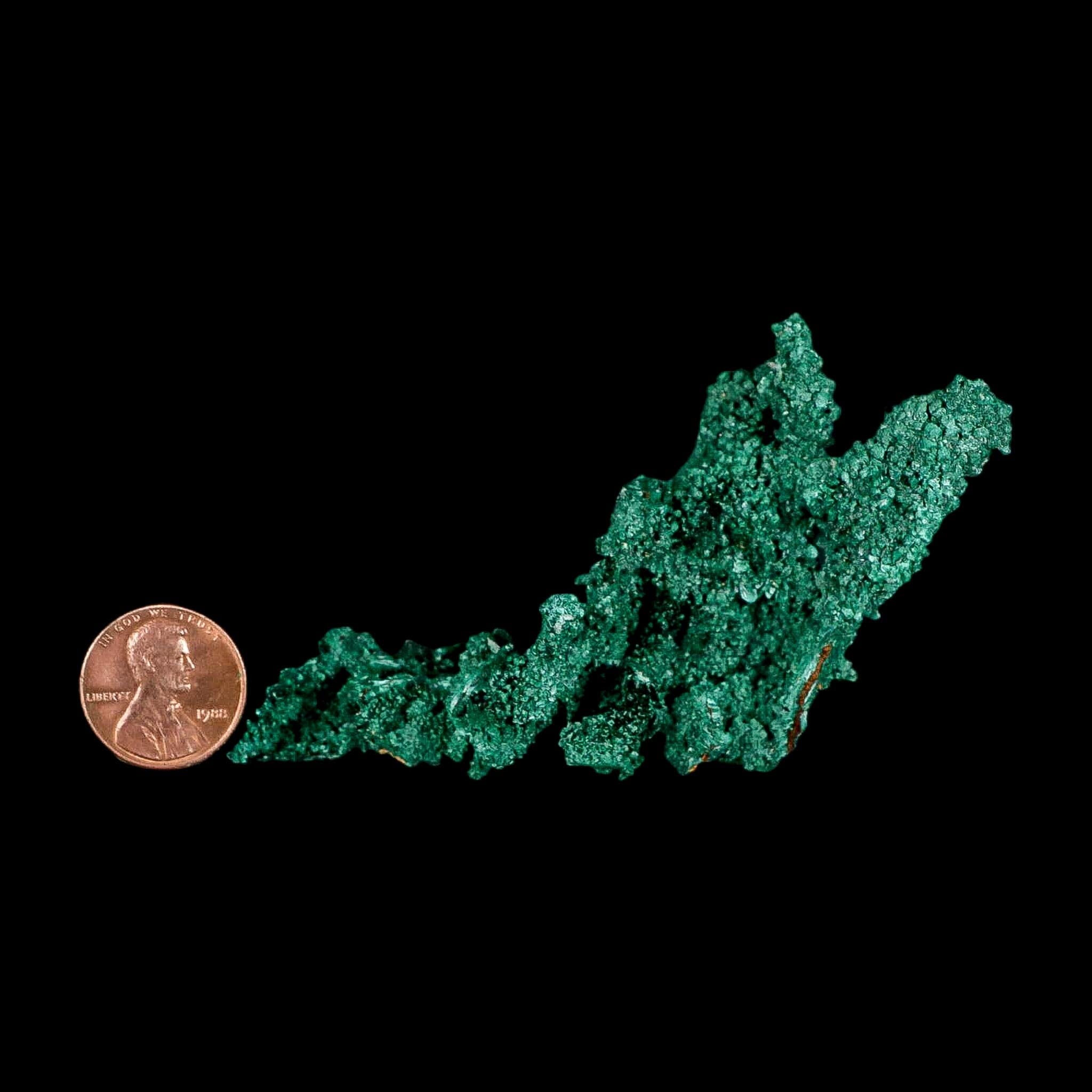 3.8" Dark Green Malachite Crystal Mineral Specimen Tiznit Province Morocco - Fossil Age Minerals