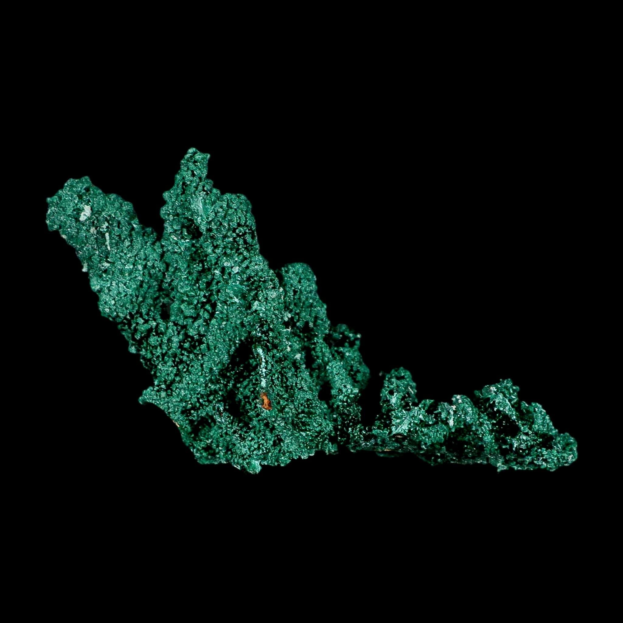 3.8" Dark Green Malachite Crystal Mineral Specimen Tiznit Province Morocco - Fossil Age Minerals