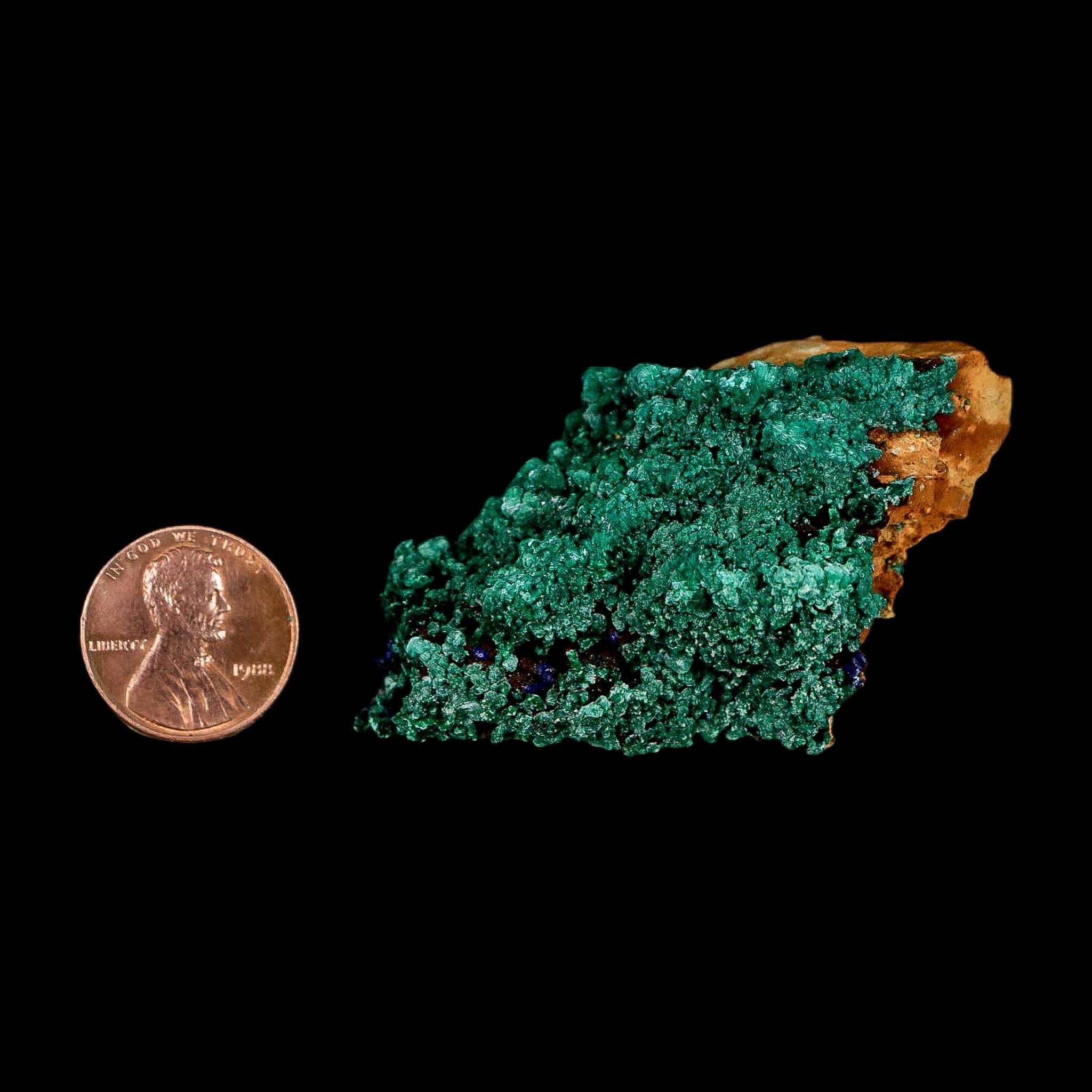 2.4" Dark Green Malachite Crystal Mineral Specimen Tiznit Province Morocco - Fossil Age Minerals