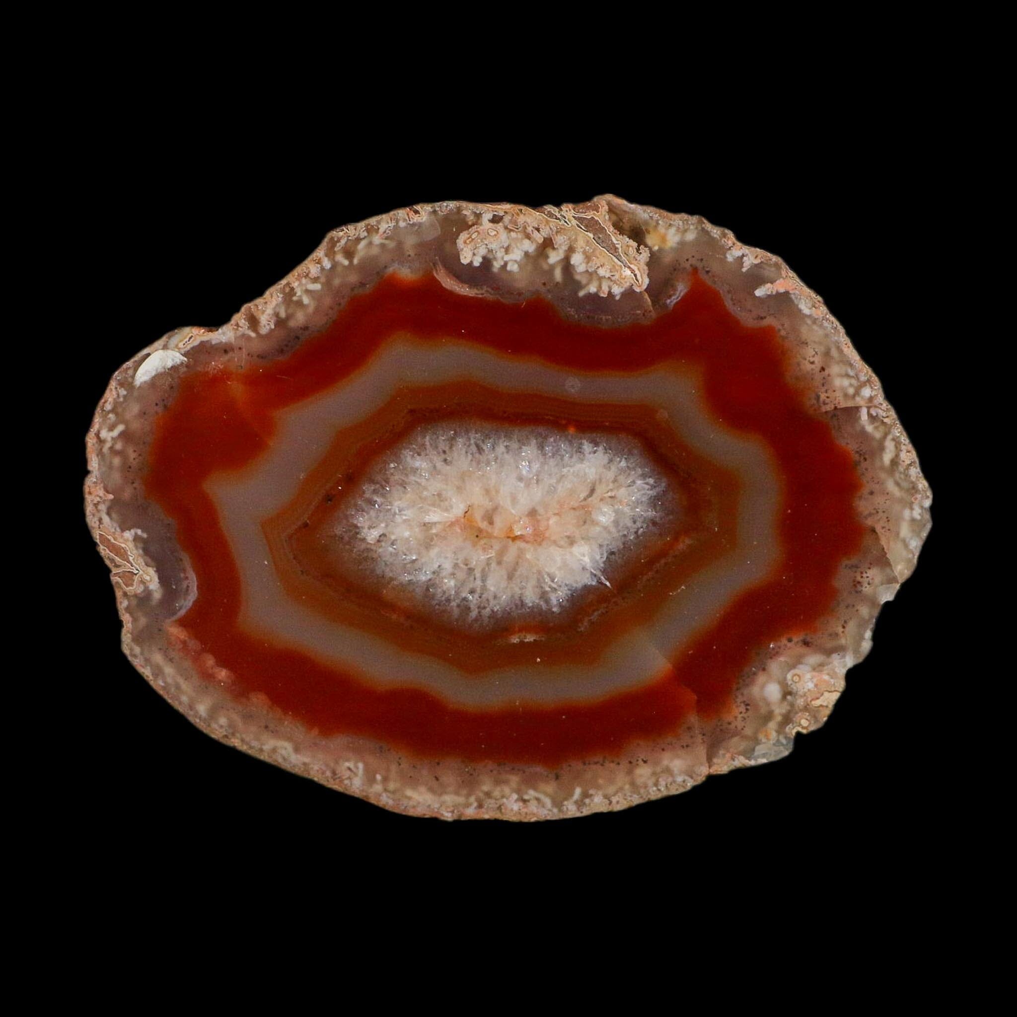 4.7" Polished Cut Agate Geode Crystal Quarts Chalcedony Mineral Specimen