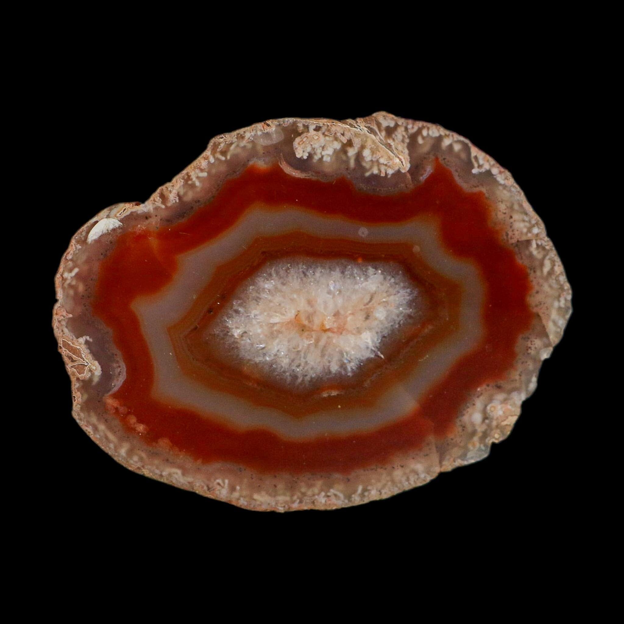 4.7" Polished Cut Agate Geode Crystal Quarts Chalcedony Mineral Specimen