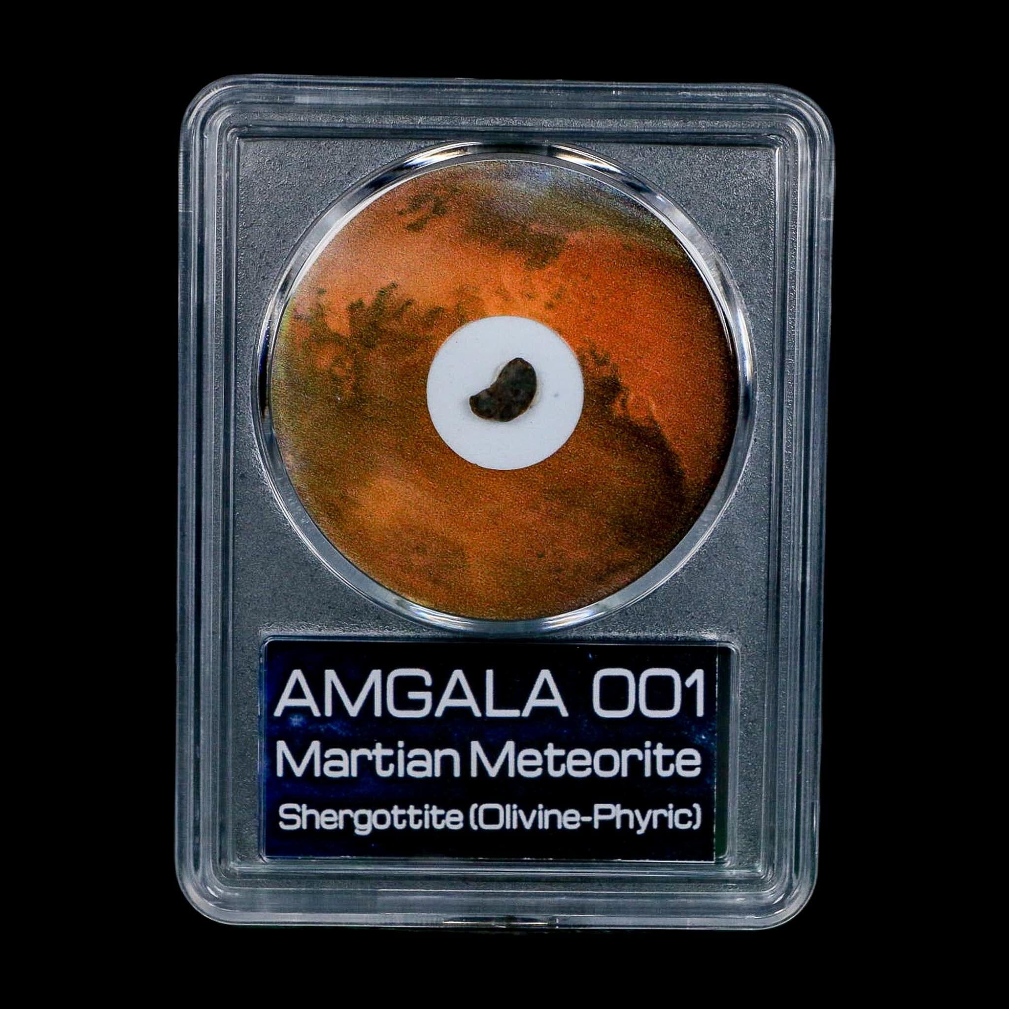 Mars Rock Martian Meteorite Amgala 001 Shergottite Olivine-Phyric COA And Display - Fossil Age Minerals