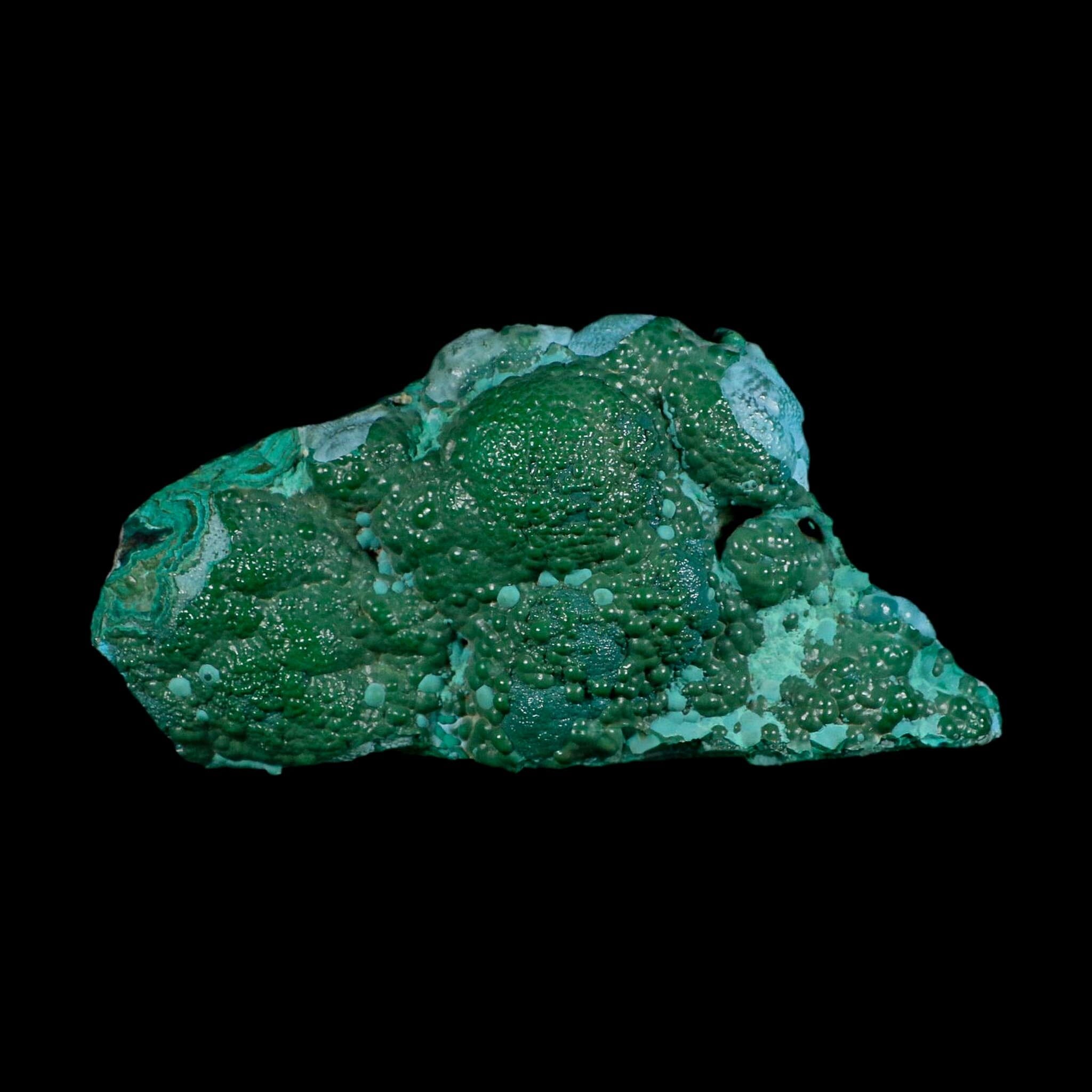 6.2" Malachite And Chrysocolla Botryoidal Colorful Mineral Specimen Congo