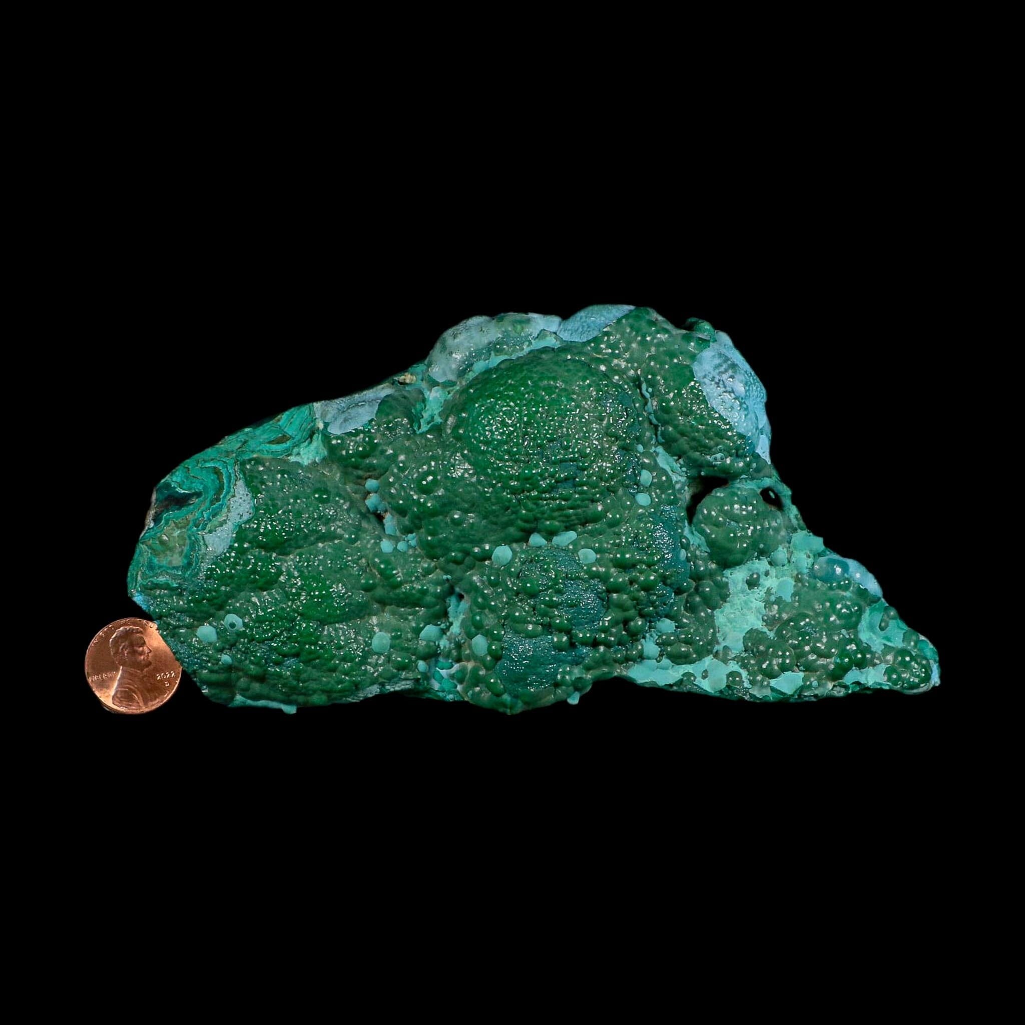 6.2" Malachite And Chrysocolla Botryoidal Colorful Mineral Specimen Congo