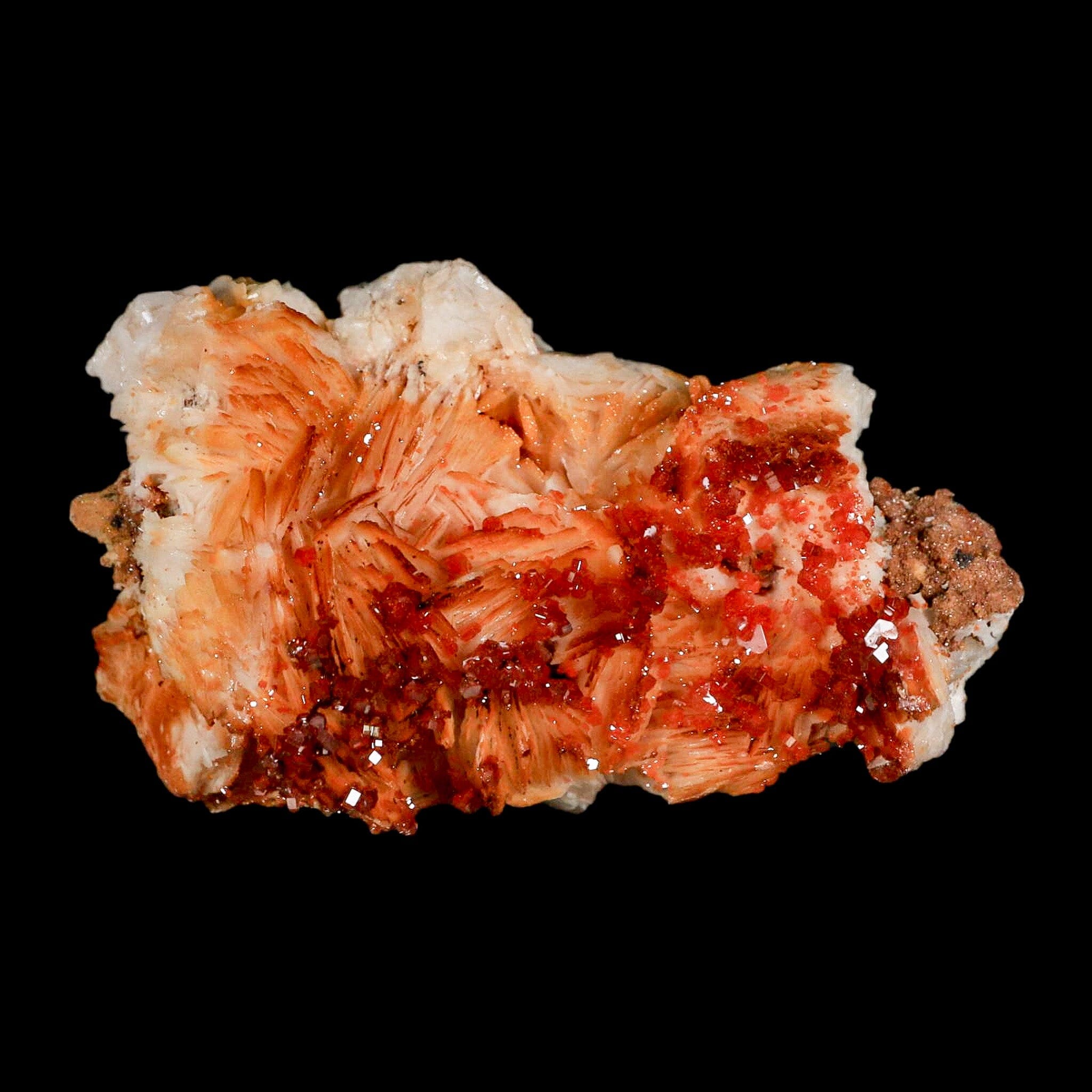 3.2" Sparkly Red Vanadinite Crystals Orange Barite Blades Mineral Mabladen Morocco - Fossil Age Minerals