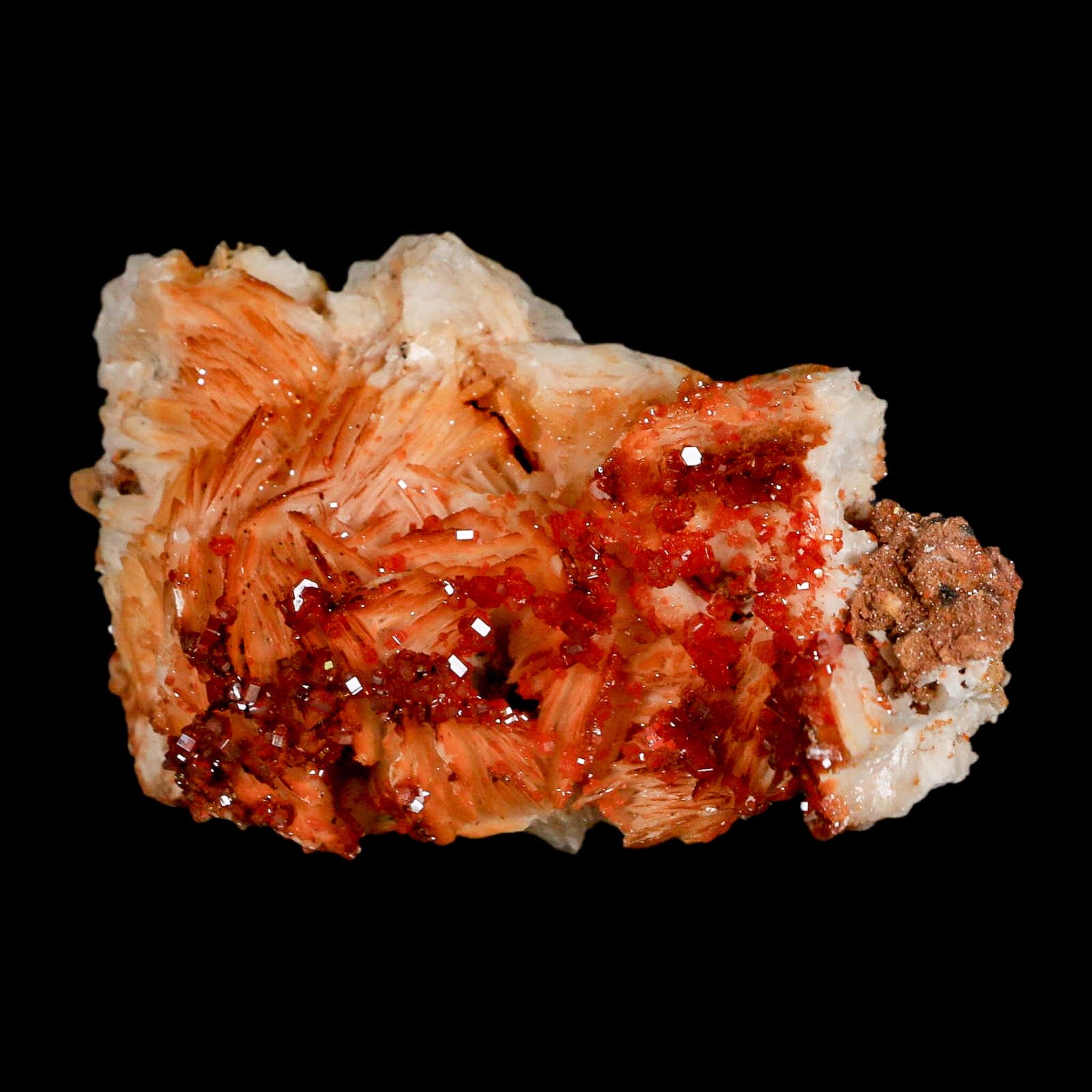 3.2" Sparkly Red Vanadinite Crystals Orange Barite Blades Mineral Mabladen Morocco - Fossil Age Minerals