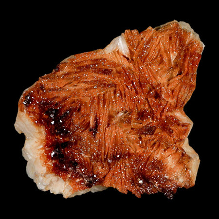 3.6" Sparkly Orange Vanadinite Crystals Orange Barite Blades Mineral Mabladen Morocco